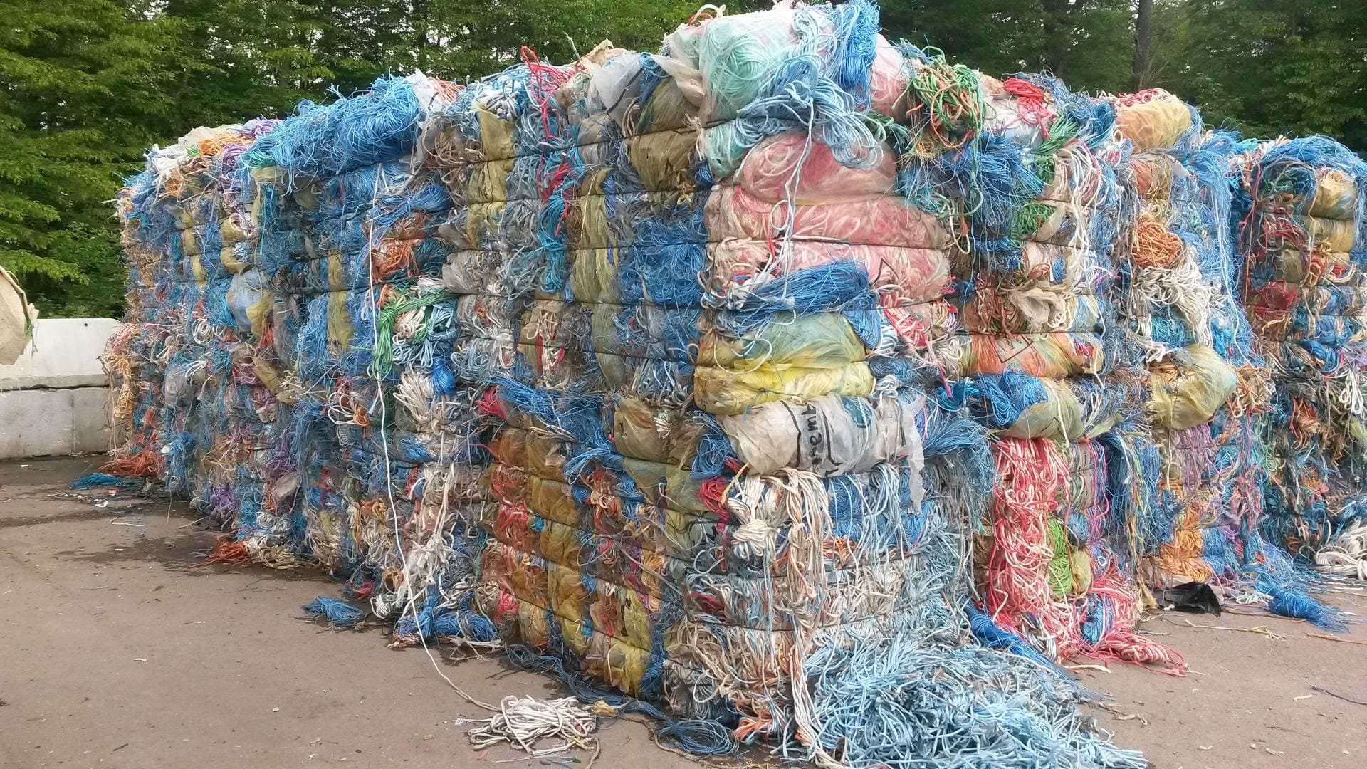 Ficelles de palissage